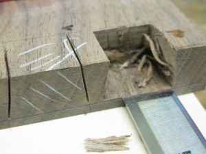 cutting a lap dovetail